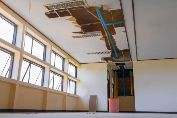 Best Mold removal after water damage  in Rancho Laveras, CA