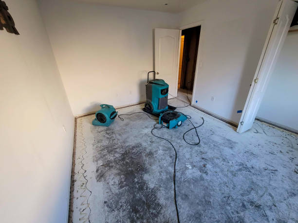 Best Water damage mitigation services  in Rancho Laveras, CA