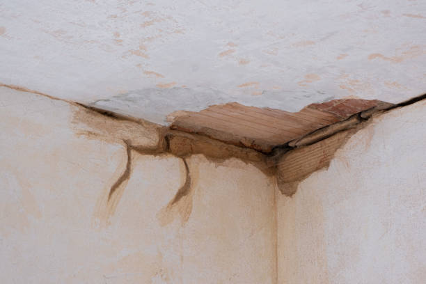 Best Flooded house restoration  in Rancho Laveras, CA
