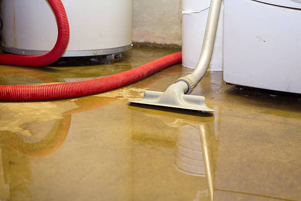 Best Local water damage restoration  in Rancho Laveras, CA