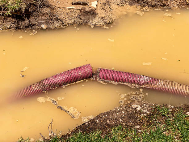 Best Water damage restoration process  in Rancho Laveras, CA